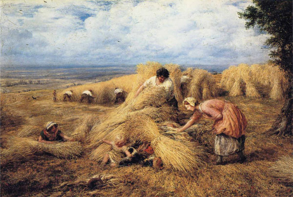 the harvest cradle